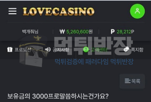 러브카지노(lovecasino) 먹튀사이트 피해 증거 자료